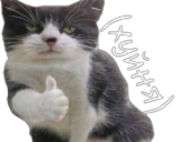 :huinya