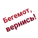:BegemoForLive