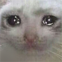 :sad_cat
