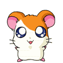 :nya