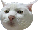 :pochti