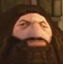 :hagrid