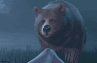 :bearsex