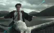 :Harryfly