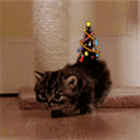 :KitXmastree