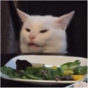 :WTFcat