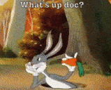 :What'sUpDoc