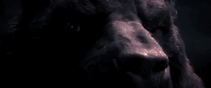 :beorn