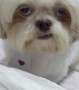 :feee