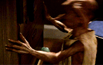 :dobby