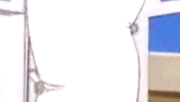 :cat-boom