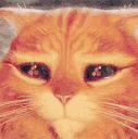 :pussinboots
