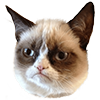 :grumpy