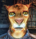 :khajit