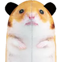 :homisha