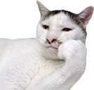 :nu
