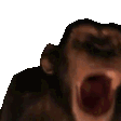 :monkehype