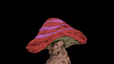 :mushroom