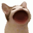 :popcat
