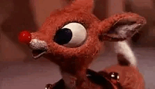 :rudolf