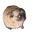 :raskolbas