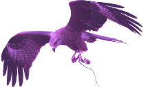 :sepifro