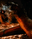 :smaug3